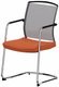 DANDY VISITEUR fauteuil luge