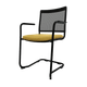 ZEN mesh visiteur - Chaise Piétement luge avec accotoirs noir laqué (A).Assise tissu et dossier résille Step Jaune foncé (L16)