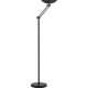 LINE 2 Lampadaire LED LED à éclairage indirect, bras et vasque orientables, variateur sur le cordon, noir