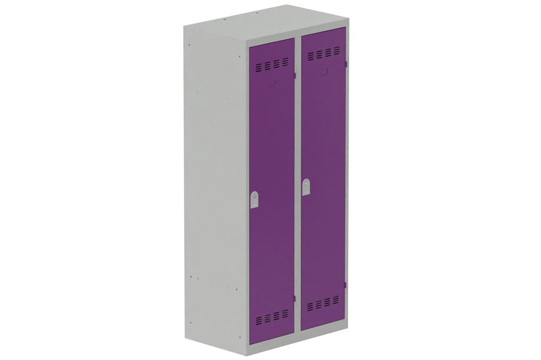 Vestiaire industrie salissante 2 portes (serrure 2 clés) H180xL80xP50cm coffre gris clair/ porte(s) prune