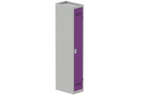 [Pas de famille] - [Pas de sous famille] - Vestiaire industrie propre 1 porte (serrure 2 clés) H180xL30xP50cm coffre gris clair/ porte(s) prune