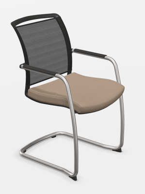 ACCESSOIRES - ACCESSOIRES  - DANDY VISITEUR fauteuil luge