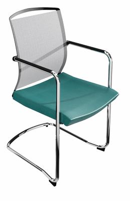VISITEURS ET FONCTIONNELS - 4 Pieds - DANDY VISITEUR fauteuil luge