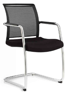 VISITEURS ET FONCTIONNELS - Luge - DANDY VISITEUR fauteuil luge