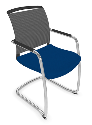 ACCESSOIRES - ACCESSOIRES  - DANDY VISITEUR fauteuil luge