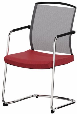 ACCESSOIRES - ACCESSOIRES  - DANDY VISITEUR fauteuil luge