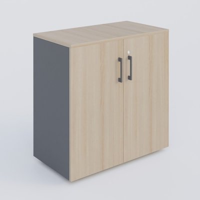 [Pas de famille] - [Pas de sous famille] - Armoire avec portes tablettes mélaminé 800x420x800