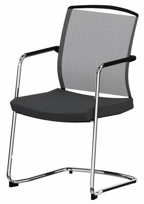 ACCESSOIRES - ACCESSOIRES  - DANDY VISITEUR fauteuil luge