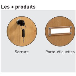 [Pas de famille] - [Pas de sous famille] - Casier de professeur HAUT , casier de professeur haut meuble 12 cases à courrier avec serrure