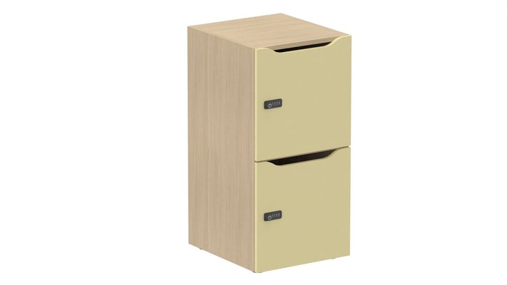 CASIERS - 2 cases - Meuble à cases H.92xL.45xP.50cm - 2 cases H43cm. portes avec découpe en partie haute. serrure à code