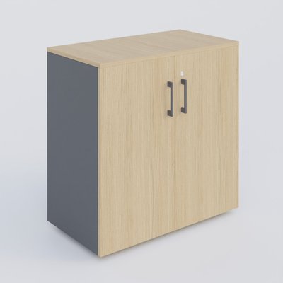 [Pas de famille] - [Pas de sous famille] - Armoire avec portes tablettes mélaminé 800x420x800