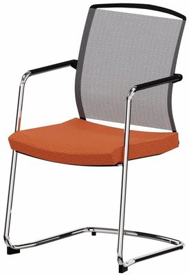 ACCESSOIRES - ACCESSOIRES  - DANDY VISITEUR fauteuil luge