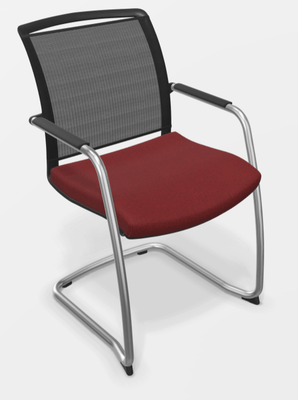 VISITEURS ET FONCTIONNELS - Luge - DANDY VISITEUR fauteuil luge assise SME-64013