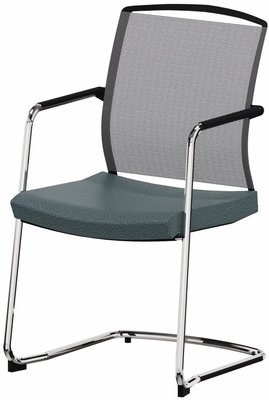 ACCESSOIRES - ACCESSOIRES  - DANDY VISITEUR fauteuil luge